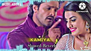 Dhaniya Banabu kaniya LofiSong Khesari Lal yadav  🎧Slowed Reverb [upl. by Batchelor71]