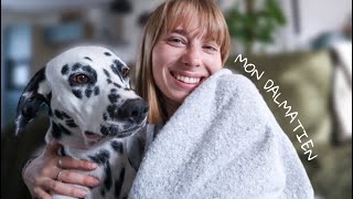 TOUT SAVOIR SUR MON DALMATIEN [upl. by Pachston]