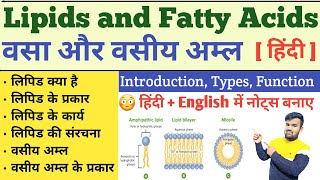 Lipid in hindi  Classification of Lipid  Fatty acids  Function of Lipid  Lipid Biochemistry [upl. by Fayina648]