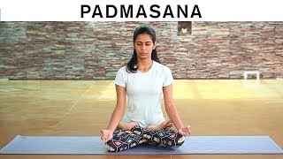 How to do Padmasana  Lotus Pose [upl. by Atteiluj]