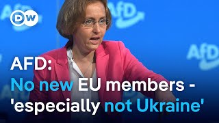 Behind German farright party AfDs no to Ukraine in the EU [upl. by Anaujd]