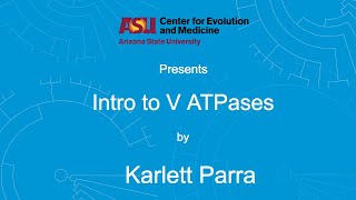 Intro to V ATPases  Karlett Parra [upl. by Enila309]