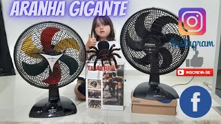 CHEGOU MINHA ARANHA TARANTULA GIGANTE ventilador britania e mondial VLOG INFANTIL PIETRO NATEL [upl. by Anabella47]