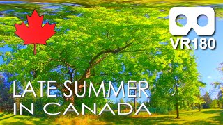 VR180 Peaceful 2 Late Summer In Canada 2 Minutes of Peace amp Relaxation in Virtual Reality [upl. by Mushro]