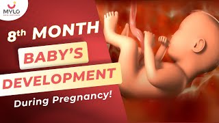 Eighth Month Of Pregnancy Symptoms amp Baby Development  Eighth Month Baby Inside The Womb  Mylo [upl. by Kumagai]