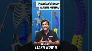 Vertebral Column  Vertebrae  Explained 💯 neet2025 neetbiology foryou shortsfeed [upl. by Gayler]