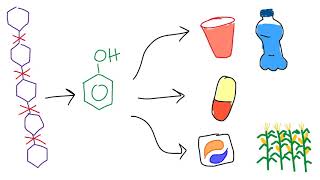 Lignin to Chemicals [upl. by Tap265]