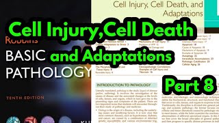 Cellular Adoptations Robbins pathologyHypertrophy Hypertrophy and Hyperplasia Robbins pathology [upl. by Mendie]