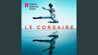 Le Corsaire Pas de Trois  Medora Variation [upl. by Howlan820]