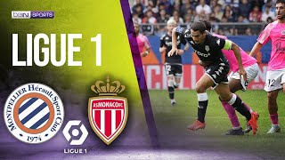 Montpellier vs Monaco  LIGUE 1 HIGHLIGHTS  10092022  beIN SPORTS USA [upl. by Nymsaj]