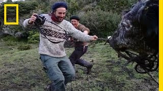 Capturing the Rugged Lives of Patagonias Gauchos [upl. by Arted]