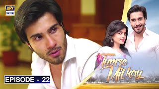 Tumse Mil Kay Episode 22  Feroze Khan  Sumbul Iqbal  ARY Digital Drama [upl. by Lustig287]