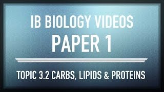 Carbohydrates lipids and proteins  IB SL Biology Past Exam Paper 1 Questions [upl. by Aicel634]