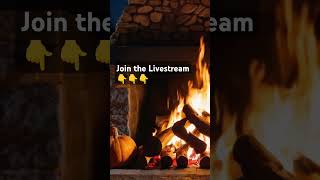 Cozy Fireplace ASMR Ambience ❤️‍🔥 NO ADS [upl. by Sibyl]