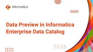 Data Preview in Informatica Enterprise Data Catalog [upl. by Ahsatan]