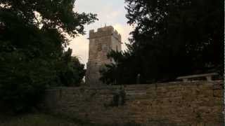 The Old Yew tree at Compton Dundon Church [upl. by Vevay]