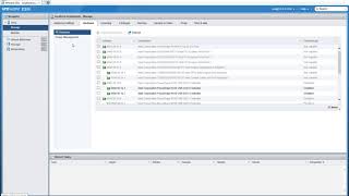 Overview of ESXi Flash WebGUI [upl. by Kenzie]