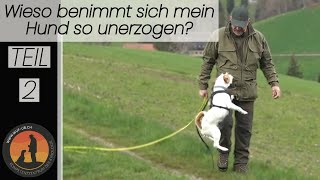 Hundeerziehung „Bindung“ Geheimrezept nicht nur für den Abruf  Hundeschule UB [upl. by Alli]