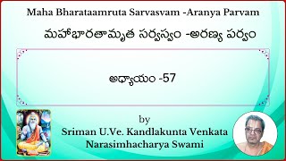 MahaBharatam Aranya Parvam Ch57 by Kandlakunta Venkata Narasimhacharya swami [upl. by Koblas]