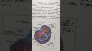 what is cytoplasm cytoplasmcytosol [upl. by Mariana]