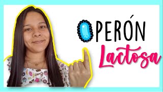 🦠Operón lactosa EXPLICACIÓN ⬇🍬⬆🍼 [upl. by Acissaj]