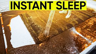 This WILL HELP You SLEEP  Relaxing Rug Cleaning  For Deep Sleep  Stress Relief  Anxiety Relief [upl. by Mariand]