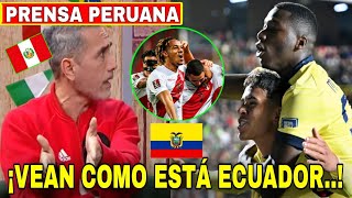 🇵🇪 quotPrensa Peruana HABLA del FUTBOL ECUATORIANOquot 🇪🇨 ECUADOR NOS HA SACADO LARGA VENTAJA [upl. by Lleuqar567]