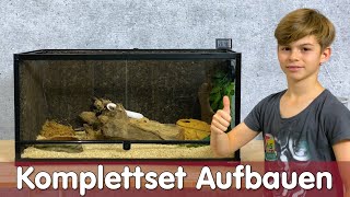 Terrarium Komplettset Aufbauen  Melinos erste Schlange  Reptil TV [upl. by Margery]