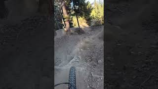 Wexl Trails mtb emtb emtb50 downhill [upl. by Clarice874]