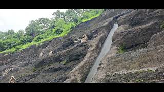 अजिंठा लेणीajintha caves [upl. by Nonac]