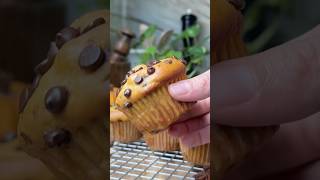 Pumpkin Cottage Cheese Muffins [upl. by Khan]