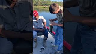 Jug lines for catfish failed successfully [upl. by Cote903]