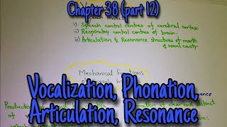 Vocalization phonation articulation resonance Chapter 38 part 12 Guyton and hall physiology [upl. by Atcliffe122]