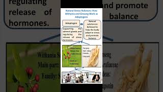 Boost Your Health with Withania and Ginseng Top Adaptogens Explained shorts ytshorts [upl. by Yetsirhc]