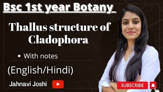 Cladophora Thallus Structure NotesBsc 1st year Botany [upl. by Persse926]