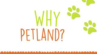 Why Petland Let us show you 2022 [upl. by Rehptosirhc]