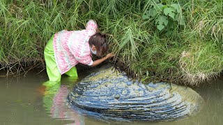 😱 A girl discovered a giant mutated river clam by the river containing countless precious pearls [upl. by Rubinstein445]