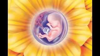 Prenatal Meditation  Part 2 The Physical Blueprint Stages of Pregnancy Visualizations [upl. by Keily]