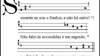 salmos Liturgia das horas [upl. by Marius]