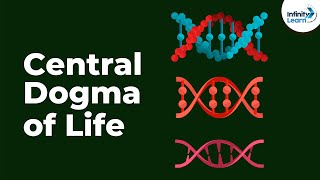 Genetics  Central Dogma of Life  Lesson 17  Dont Memorise [upl. by Anilak]