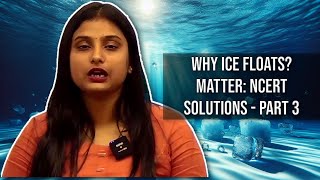 The Truth About Ice Why It Floats on Water [upl. by Nessej420]