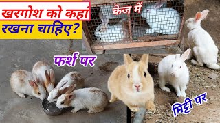 खरगोश को कहां रखना चाहिएRabbit Ko Cage Mein Rakhe Ya Mitti Ke Farsh Per Rabit Ko Kahan Rakhen [upl. by Reave486]