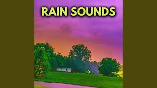 Ambient Rainfall For Sleep [upl. by Yffub]