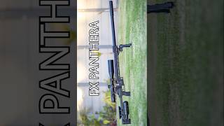 Unreal Airgun Accuracy  LongRange Headshot  Best Airguns in the world  FX Panthera  FX Airguns [upl. by Llerehc791]