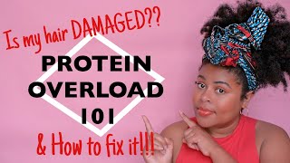 HOW TO FIX PROTEIN OVERLOAD on Natural Hair  SIGNS amp Tips [upl. by Freya]