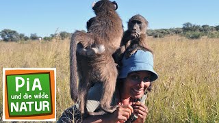 Das Zaubergras der Savanne  Reportage für Kinder  Pia und die wilde Natur [upl. by Primrosa]