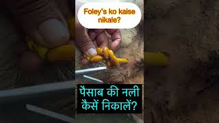 Foley’s catheter ko kaise bahar kare  I Dr Umar Khan [upl. by Annawit891]