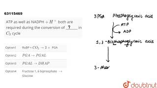 ATP as well as NADPH   H both are required during the conversion of  in C3  cycl [upl. by Azilef]