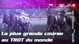 Le Prix dAmérique Opodo La plus grande course au TROT du monde  CLIP [upl. by Odab]