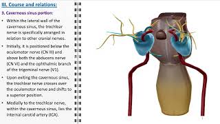 Trochlear nerve [upl. by Belcher395]